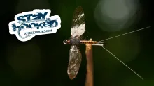 Video thumb for Joseph Ludkin Reel Wing Spinner